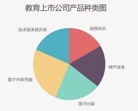 四張圖帶你看懂中國(guó)教育上市公司中的數(shù)字技術(shù)服務(wù)